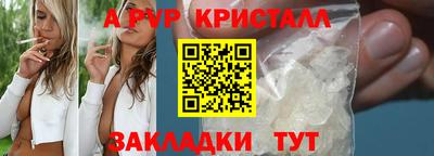 гидра Можга