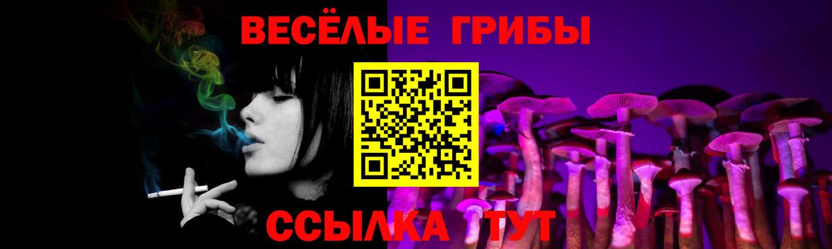 Псилоцибиновые грибы прущие грибы Фрязино